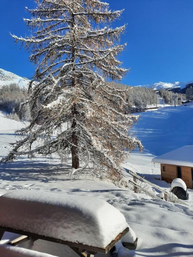 Chaletauxorres Au Pied Des Pistes Et Skis Aux Pieds Villa Les Orres Exterior photo